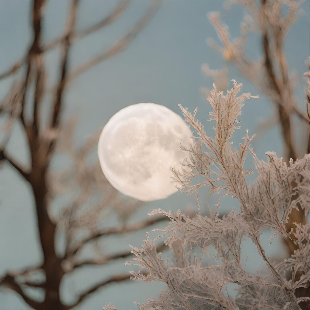 frost moon