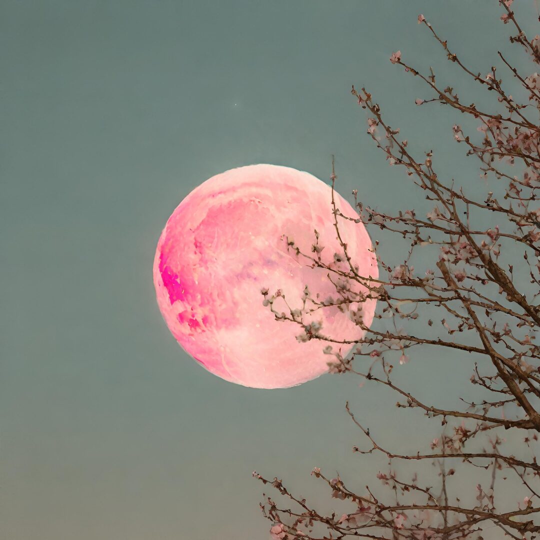 pink moon